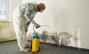 Best Mold Prevention Services  in Butler, NJ